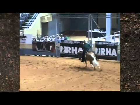 RC Fancy Step "The Legend" - SDP Buffalo Ranch