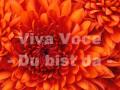 Viva Voce - Du Bist Da 