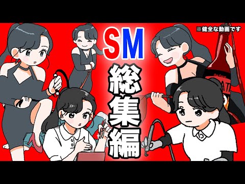 【アニメ】SM総集編