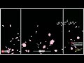 Sardari Hussain Di Manqabat By Zain Zohaib Awan Writes