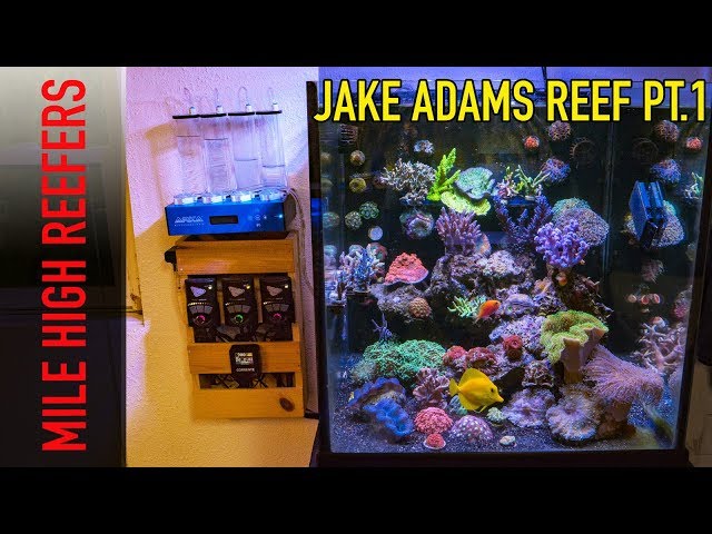 Jake Adams Reef Tank PT1 Equipment