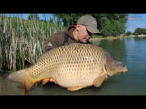 Praktični ribolov - šaranski ribolov na jezeru Zajarki / carp fishing lake Zajarki
