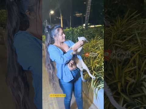 cats love finger fun 😝