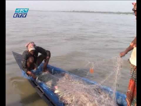 সরকারি নিষেধাজ্ঞা অমান্য করেই ভোলা ও সিরাজগঞ্জে ইলিশ নিধন | ETV News