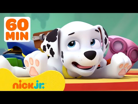 Capa de Patrulha Canina | Momentos Mais Tolos do Marshall da Patrulha Canina! 🤭 | 1 Hora | Nick Jr.