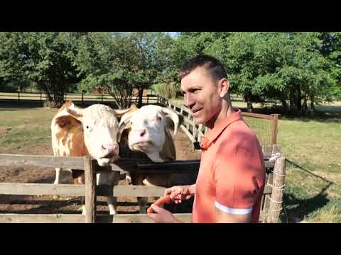 Megyehatár Jó itt élni: A Hatvani Vadaspark élete, 2022.08.09.