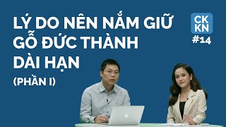 GDT phần I – Tại sao Gỗ Đức Thành có biên lợi nhuận cao nhất trong các doanh nghiệp ngành gỗ?