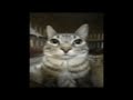 Deftones - Lhabia | Guitar backing track with vocals