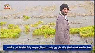 الشهيد بابك علي بور