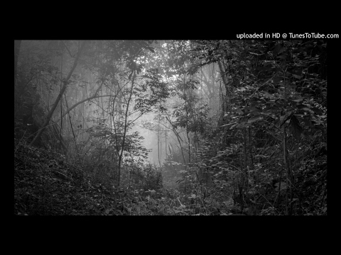 Stgomalaria x Debronce - Paisajes de Hoyayer