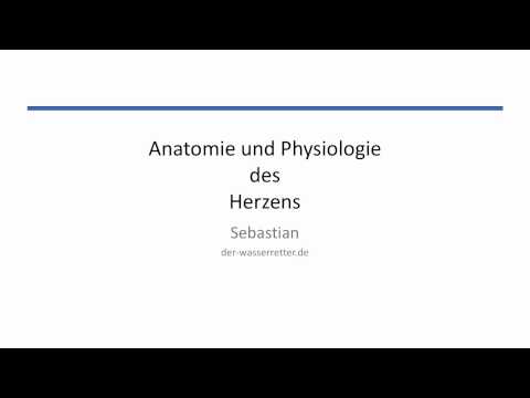 Herz: Anatomie & Physiologie (1|2) - Vorstellung
