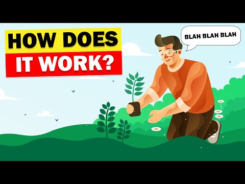 Does Talking to Your House Plants Help Them Grow?