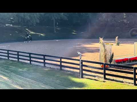 Lavish K winning round