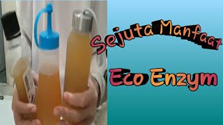 Sejuta Manfaat Eco Enzym, Bagi Lingkungan dan Hidup Manusia