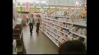 R. Stevie Moore ~ Puttin' Up The Groceries (1978) V1