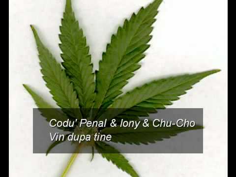 Codu' Penal   Iony   Chu-Cho - Vin dupa tine - YouTube.flv
