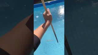 Lontra Fofa se Surpreende ao Ver a Piscina Congelada 😍❤️