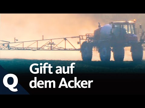 Pesticides – a danger to humans, animals, and the environment? | Quarks