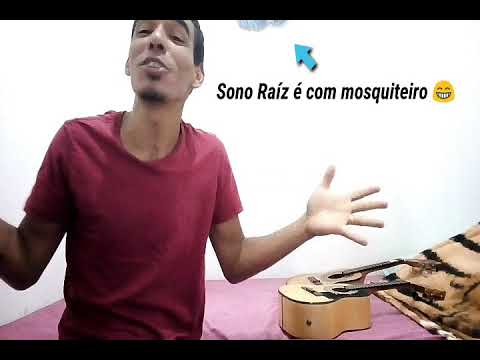 Zoeira - Harmonia do Samba