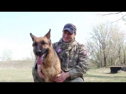 НЕМЕЦКАЯ ОВЧАРКА. Разговор с инструктором кинологом питомника Мотор Сич.