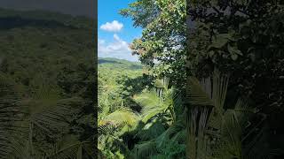 Download lagu เดคเตเดจเตเดฎเดฒ เดกเดพเด#trending #naturelovers #viralreels mp3 Download lagu เดคเตเดจเตเดฎเดฒ เดกเดพเด#trending #naturelovers #viralreels mp3