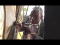 KAYEYE IN TEARS MWELU IN LOVE WITH LASALO