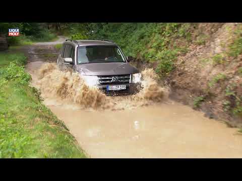 Onlinemotor Mitsubishi Pajero Offroad in Ehreshoven