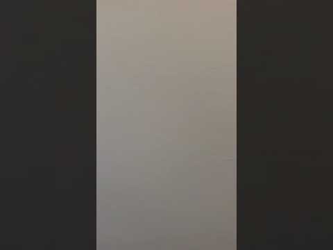 3341 N Seminary - Video 2 of 2