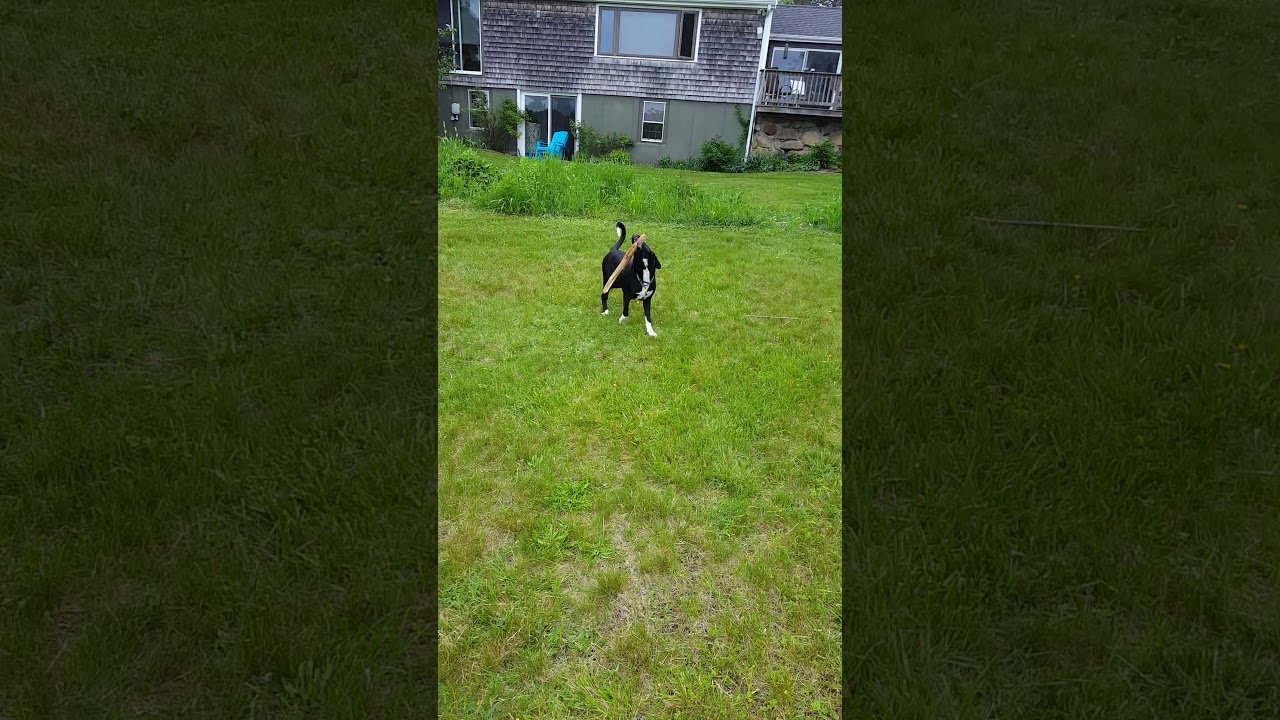 YouTube video preview