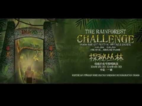 IMAGO Harvest Festival 2016 - Rainforest Challenge