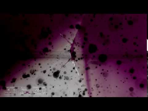 Ismus - Label Launch