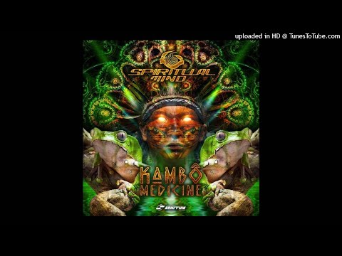 Eclipse Echoes - Infinite Cosmos (Spiritual Mind Remix)