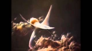 Cosmos - Life on Gas Giants