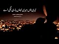 Tedi Ty Medi Aja Yari Lgi A Slow Reverb New Trending Song