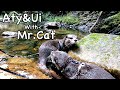 Manchmal Würde Er Lieber In Die Berge Als An Den Fluss Gehen Flussotter Leben Tag 607