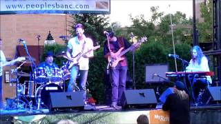 The Million Dollar Blues Band - Harmony Park - Arlington Hts