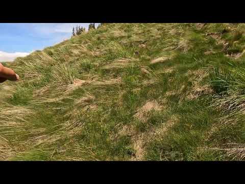 V1 Cantonul Făgețel - Vf. Leaota  (ep. 2:  Stâna Vâja - Vf. Leaota) (2024)