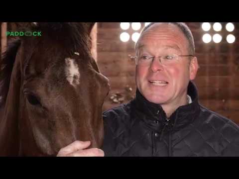 In the Paddock - Vosne Romanee & Foxtrot Racing