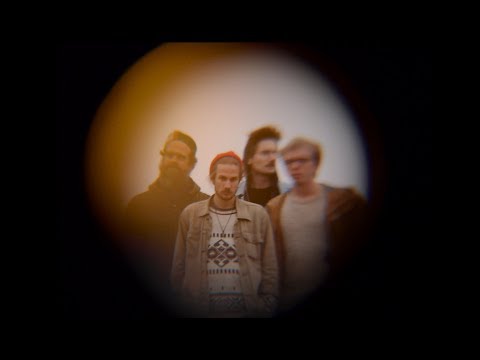 Seed to Tree - Mainly (Official Video)