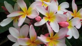 Love Goes Home to Paris in the Spring