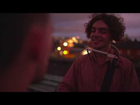 The Ocelots On A Rooftop