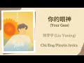 你的眼神 Your Gaze 刘宇宁 Liu Yuning 单曲 Single Chi Eng Pinyin Lyrics