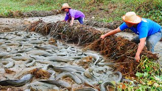 Download lagu I Catch lots Of Fish Under Mud Grass! mp3 Download lagu I Catch lots Of Fish Under Mud Grass! mp3