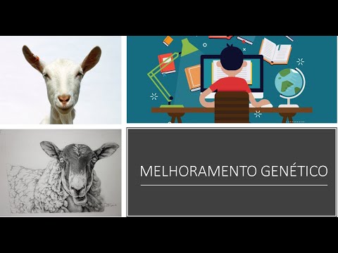 , title : 'Melhoramento Genético em caprinos e ovinos'