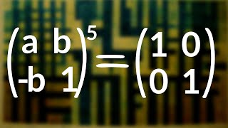 On the fifth root of the identity matrix.