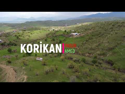 Kurikan / Pasur