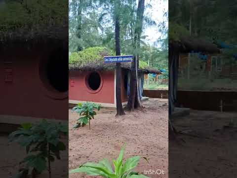 Village theme Beach side resort near gokarna...🏖🌊🏕