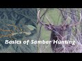 Basics Of Sambar Hunting