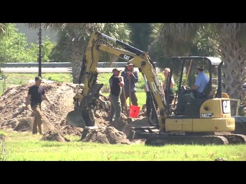 Brevard Case Search