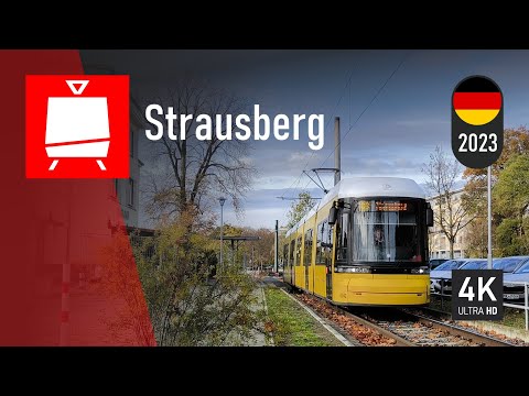 🇩🇪🚋 Trams in Strausberg 📅 2023-11 🎞️ 4K 60fps